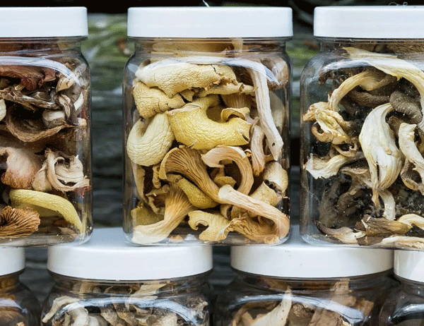 dried shrooms